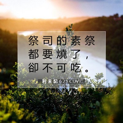 Picture 07 - 利 未 記 6:23 CUVT - 祭 司 的 素 祭 都 要 燒 了 ， 卻 不 - Bible Verse Picture