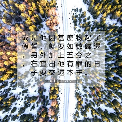 Picture 07 - 利 未 記 6:5 CUVT - 或 是 他 因 甚 麼 物 起 了 假 誓 ， - Bible Verse Picture