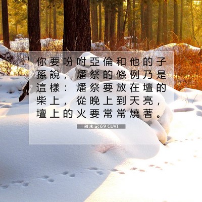 Picture 07 - 利 未 記 6:9 CUVT - 你 要 吩 咐 亞 倫 和 他 的 子 孫 說 - Bible Verse Picture