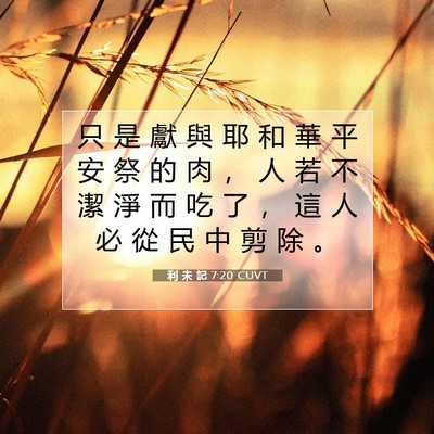Picture 07 - 利 未 記 7:20 CUVT - 只 是 獻 與 耶 和 華 平 安 祭 的 肉 - Bible Verse Picture