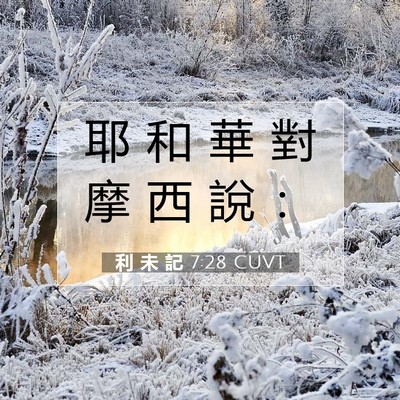 Picture 07 - 利 未 記 7:28 CUVT - 耶 和 華 對 摩 西 說 - Bible Verse Picture