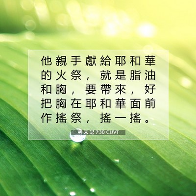 Picture 07 - 利 未 記 7:30 CUVT - 他 親 手 獻 給 耶 和 華 的 火 祭 ， - Bible Verse Picture