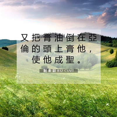 Picture 07 - 利 未 記 8:12 CUVT - 又 把 膏 油 倒 在 亞 倫 的 頭 上 膏 - Bible Verse Picture