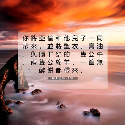 Picture 07 - 利 未 記 8:2 CUVT - 你 將 亞 倫 和 他 兒 子 一 同 帶 來 - Bible Verse Picture