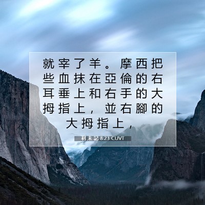 Picture 07 - 利 未 記 8:23 CUVT - 就 宰 了 羊 。 摩 西 把 些 血 抹 在 - Bible Verse Picture