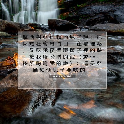 Picture 07 - 利 未 記 8:31 CUVT - 摩 西 對 亞 倫 和 他 兒 子 說 ： 把 - Bible Verse Picture