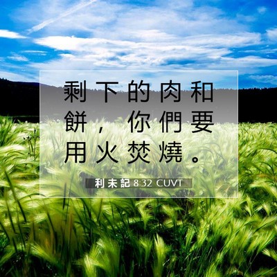 Picture 07 - 利 未 記 8:32 CUVT - 剩 下 的 肉 和 餅 ， 你 們 要 用 火 - Bible Verse Picture