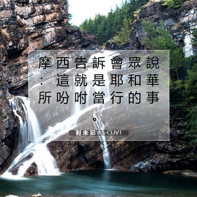 Picture 07 - 利 未 記 8:5 CUVT - 摩 西 告 訴 會 眾 說 ： 這 就 是 耶 - Bible Verse Picture