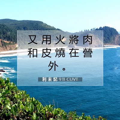 Picture 07 - 利 未 記 9:11 CUVT - 又 用 火 將 肉 和 皮 燒 在 營 外 - Bible Verse Picture