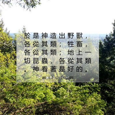 Picture 07 - 創 世 記 1:25 CUVT - 於 是 神 造 出 野 獸 ， 各 從 其 類 - Bible Verse Picture