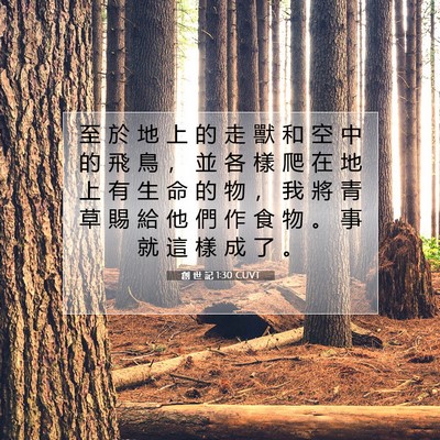 Picture 07 - 創 世 記 1:30 CUVT - 至 於 地 上 的 走 獸 和 空 中 的 飛 - Bible Verse Picture