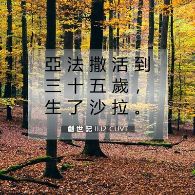 Picture 07 - 創 世 記 11:12 CUVT - 亞 法 撒 活 到 三 十 五 歲 ， 生 了 - Bible Verse Picture