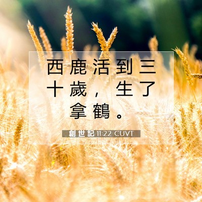 Picture 07 - 創 世 記 11:22 CUVT - 西 鹿 活 到 三 十 歲 ， 生 了 拿 鶴 - Bible Verse Picture