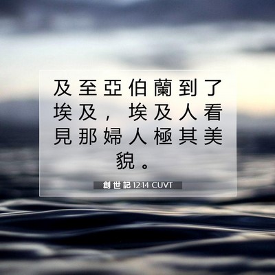 Picture 07 - 創 世 記 12:14 CUVT - 及 至 亞 伯 蘭 到 了 埃 及 ， 埃 及 - Bible Verse Picture