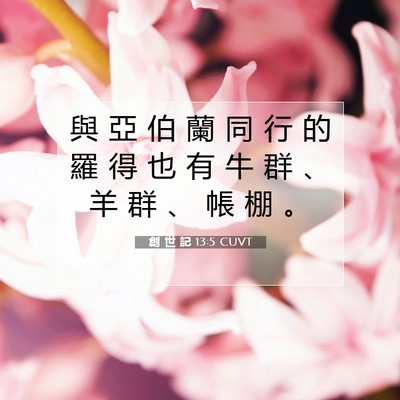 Picture 07 - 創 世 記 13:5 CUVT - 與 亞 伯 蘭 同 行 的 羅 得 也 有 牛 - Bible Verse Picture