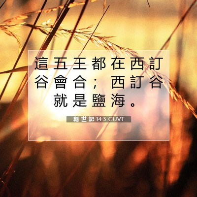 Picture 07 - 創 世 記 14:3 CUVT - 這 五 王 都 在 西 訂 谷 會 合 ； 西 - Bible Verse Picture