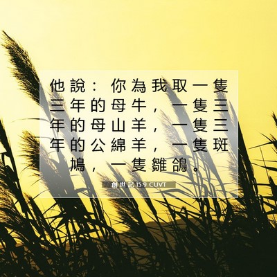 Picture 07 - 創 世 記 15:9 CUVT - 他 說 ： 你 為 我 取 一 隻 三 年 的 - Bible Verse Picture