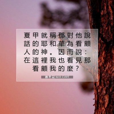 Picture 07 - 創 世 記 16:13 CUVT - 夏 甲 就 稱 那 對 他 說 話 的 耶 和 - Bible Verse Picture