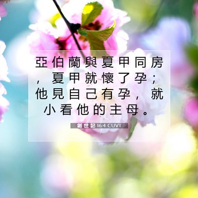 Picture 07 - 創 世 記 16:4 CUVT - 亞 伯 蘭 與 夏 甲 同 房 ， 夏 甲 就 - Bible Verse Picture