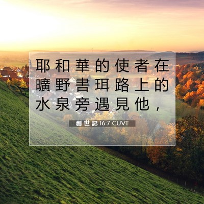 Picture 07 - 創 世 記 16:7 CUVT - 耶 和 華 的 使 者 在 曠 野 書 珥 路 - Bible Verse Picture