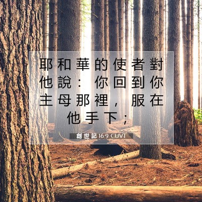 Picture 07 - 創 世 記 16:9 CUVT - 耶 和 華 的 使 者 對 他 說 ： 你 回 - Bible Verse Picture