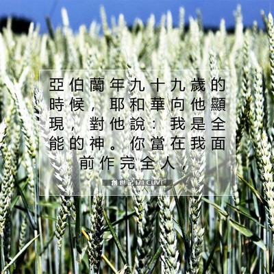 Picture 07 - 創 世 記 17:1 CUVT - 亞 伯 蘭 年 九 十 九 歲 的 時 候 ， - Bible Verse Picture