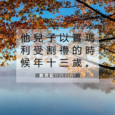 Picture 07 - 創 世 記 17:25 CUVT - 他 兒 子 以 實 瑪 利 受 割 禮 的 時 - Bible Verse Picture