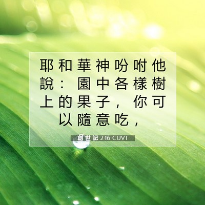 Picture 07 - 創 世 記 2:16 CUVT - 耶 和 華 神 吩 咐 他 說 ： 園 中 各 - Bible Verse Picture