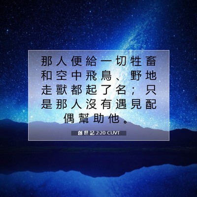 Picture 07 - 創 世 記 2:20 CUVT - 那 人 便 給 一 切 牲 畜 和 空 中 飛 - Bible Verse Picture