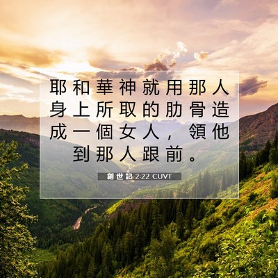 Picture 07 - 創 世 記 2:22 CUVT - 耶 和 華 神 就 用 那 人 身 上 所 取 - Bible Verse Picture
