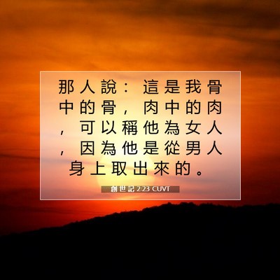 Picture 07 - 創 世 記 2:23 CUVT - 那 人 說 ： 這 是 我 骨 中 的 骨 ， - Bible Verse Picture