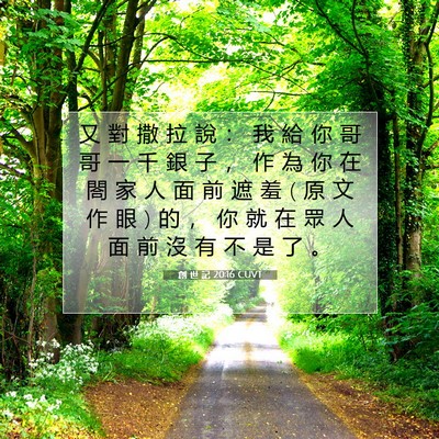 Picture 07 - 創 世 記 20:16 CUVT - 又 對 撒 拉 說 ： 我 給 你 哥 哥 一 - Bible Verse Picture
