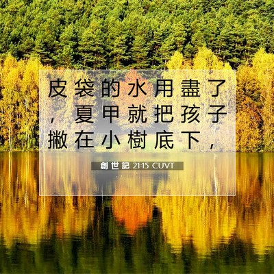 Picture 07 - 創 世 記 21:15 CUVT - 皮 袋 的 水 用 盡 了 ， 夏 甲 就 把 - Bible Verse Picture