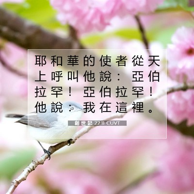 Picture 07 - 創 世 記 22:11 CUVT - 耶 和 華 的 使 者 從 天 上 呼 叫 他 - Bible Verse Picture