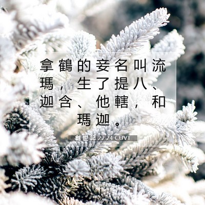 Picture 07 - 創 世 記 22:24 CUVT - 拿 鶴 的 妾 名 叫 流 瑪 ， 生 了 提 - Bible Verse Picture