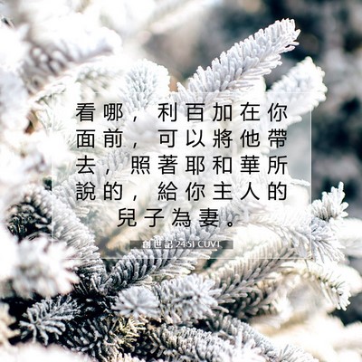 Picture 07 - 創 世 記 24:51 CUVT - 看 哪 ， 利 百 加 在 你 面 前 ， 可 - Bible Verse Picture