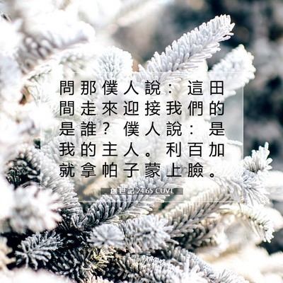 Picture 07 - 創 世 記 24:65 CUVT - 問 那 僕 人 說 ： 這 田 間 走 來 迎 - Bible Verse Picture