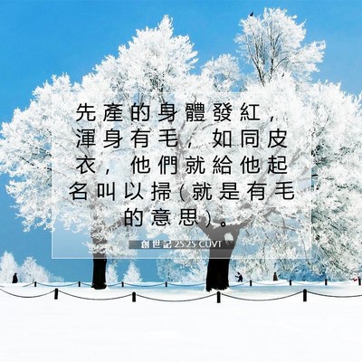 Picture 07 - 創 世 記 25:25 CUVT - 先 產 的 身 體 發 紅 ， 渾 身 有 毛 - Bible Verse Picture