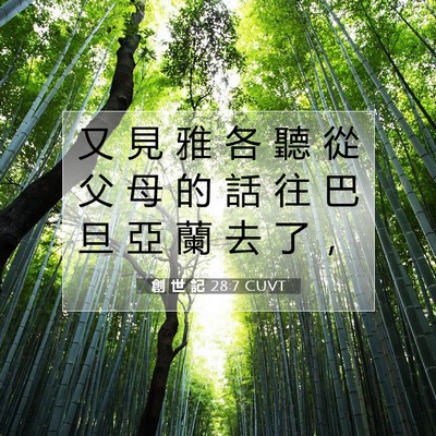 Picture 07 - 創 世 記 28:7 CUVT - 又 見 雅 各 聽 從 父 母 的 話 往 巴 - Bible Verse Picture