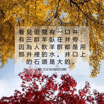 Picture 07 - 創 世 記 29:2 CUVT - 看 見 田 間 有 一 口 井 ， 有 三 群 - Bible Verse Picture