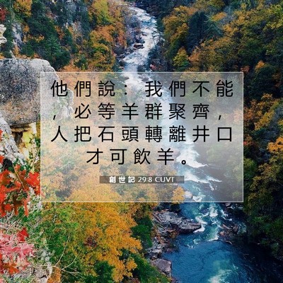 Picture 07 - 創 世 記 29:8 CUVT - 他 們 說 ： 我 們 不 能 ， 必 等 羊 - Bible Verse Picture