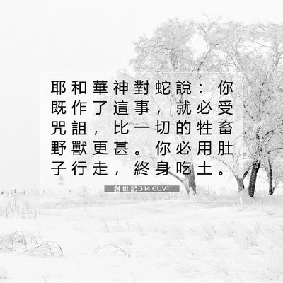 Picture 07 - 創 世 記 3:14 CUVT - 耶 和 華 神 對 蛇 說 ： 你 既 作 了 - Bible Verse Picture