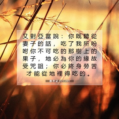 Picture 07 - 創 世 記 3:17 CUVT - 又 對 亞 當 說 ： 你 既 聽 從 妻 子 - Bible Verse Picture