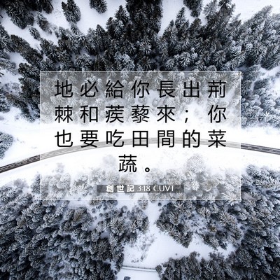 Picture 07 - 創 世 記 3:18 CUVT - 地 必 給 你 長 出 荊 棘 和 蒺 藜 來 - Bible Verse Picture