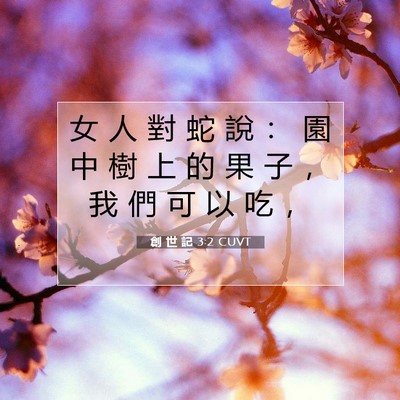 Picture 07 - 創 世 記 3:2 CUVT - 女 人 對 蛇 說 ： 園 中 樹 上 的 果 - Bible Verse Picture