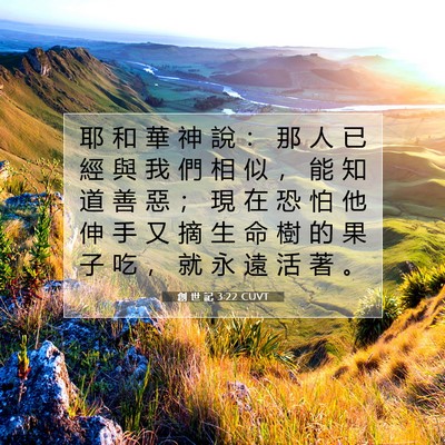 Picture 07 - 創 世 記 3:22 CUVT - 耶 和 華 神 說 ： 那 人 已 經 與 我 - Bible Verse Picture