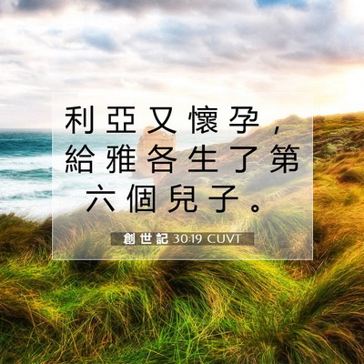 Picture 07 - 創 世 記 30:19 CUVT - 利 亞 又 懷 孕 ， 給 雅 各 生 了 第 - Bible Verse Picture