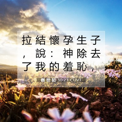 Picture 07 - 創 世 記 30:23 CUVT - 拉 結 懷 孕 生 子 ， 說 ： 神 除 去 - Bible Verse Picture