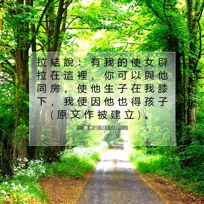 Picture 07 - 創 世 記 30:3 CUVT - 拉 結 說 ： 有 我 的 使 女 辟 拉 在 - Bible Verse Picture