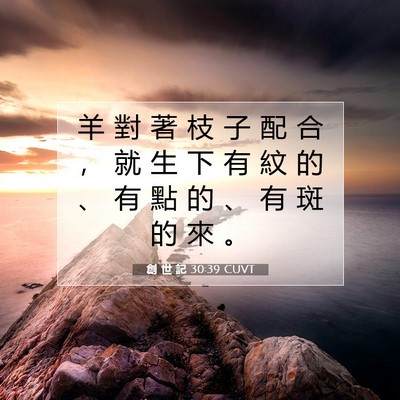 Picture 07 - 創 世 記 30:39 CUVT - 羊 對 著 枝 子 配 合 ， 就 生 下 有 - Bible Verse Picture